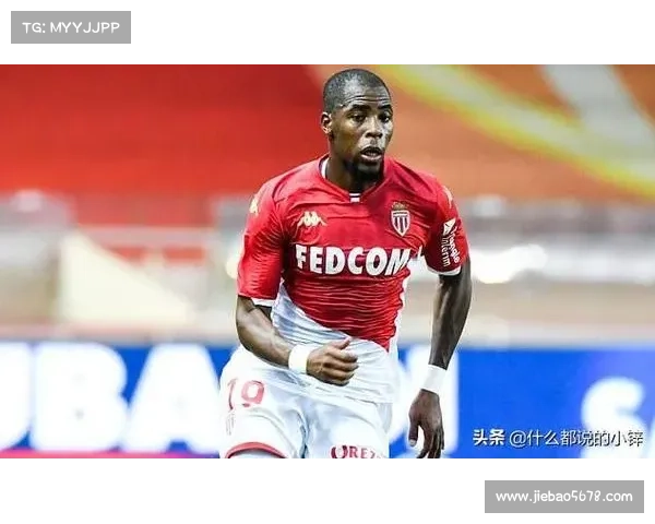 深入解析法甲冠军标志背后历史文化与象征意义探索全景揭秘之旅篇